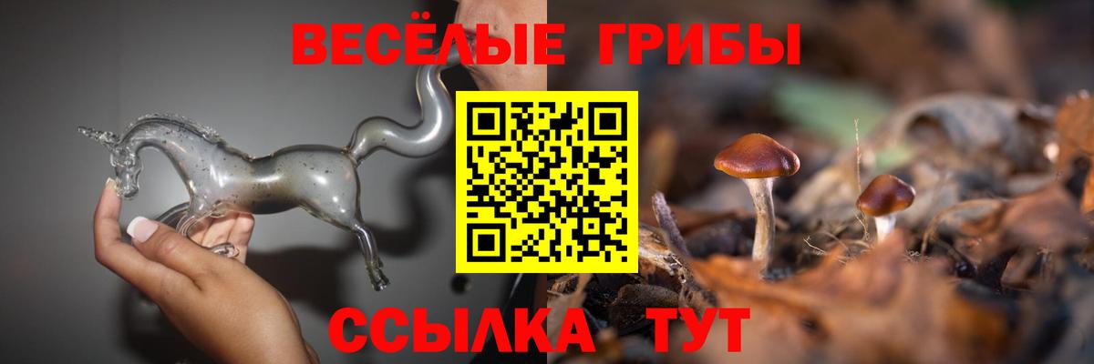 Псилоцибиновые грибы Cubensis  Вход с VPN  Псилоцибиновые грибы GOLDEN TEACHER  Прохладный 