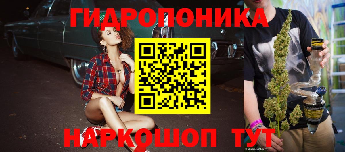 Шишки марихуана Bruce Banner Прохладный